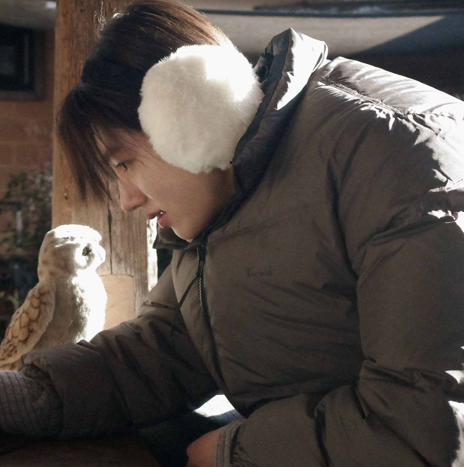 CORTIS的最新活动照片