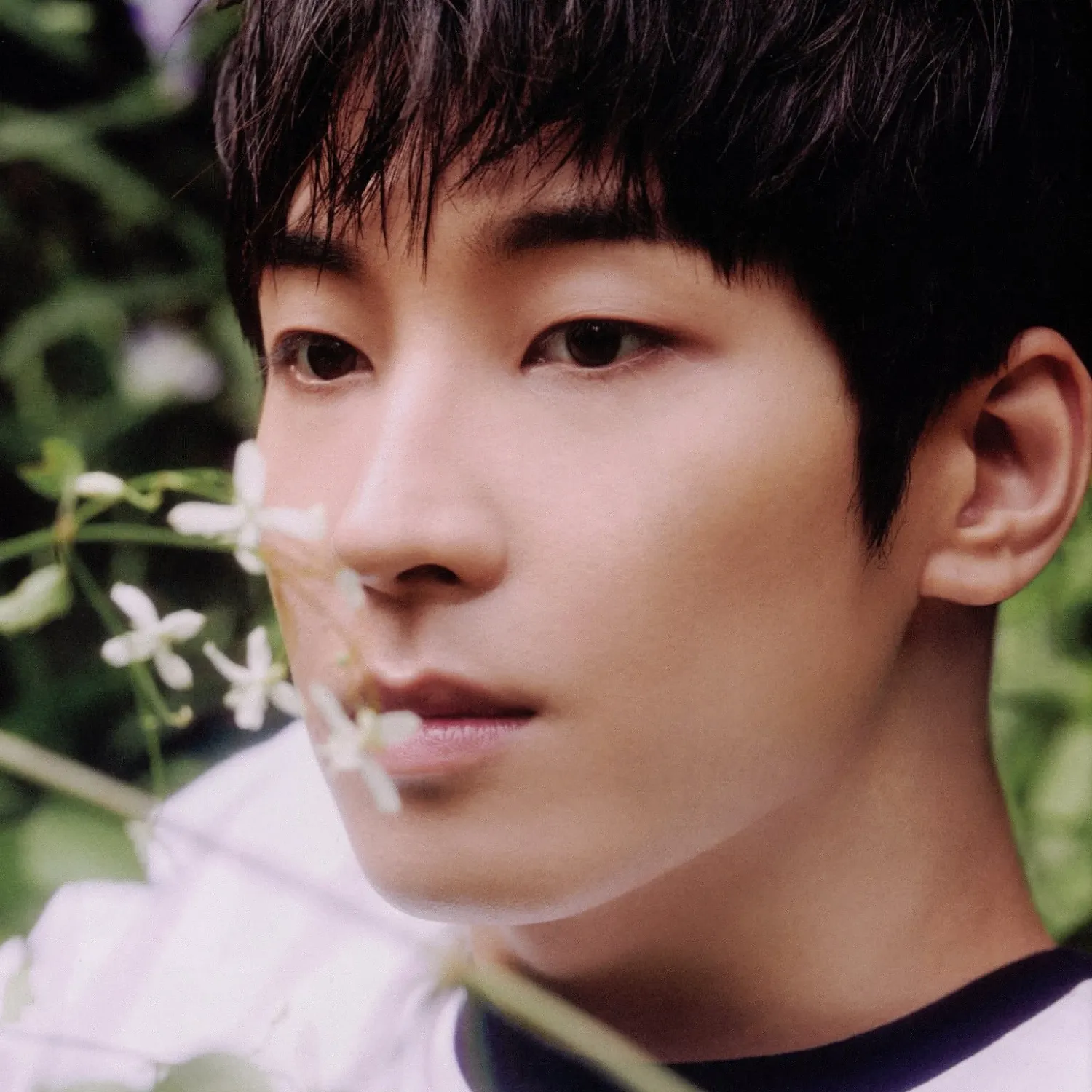원우 (세븐틴)의 최신 사진