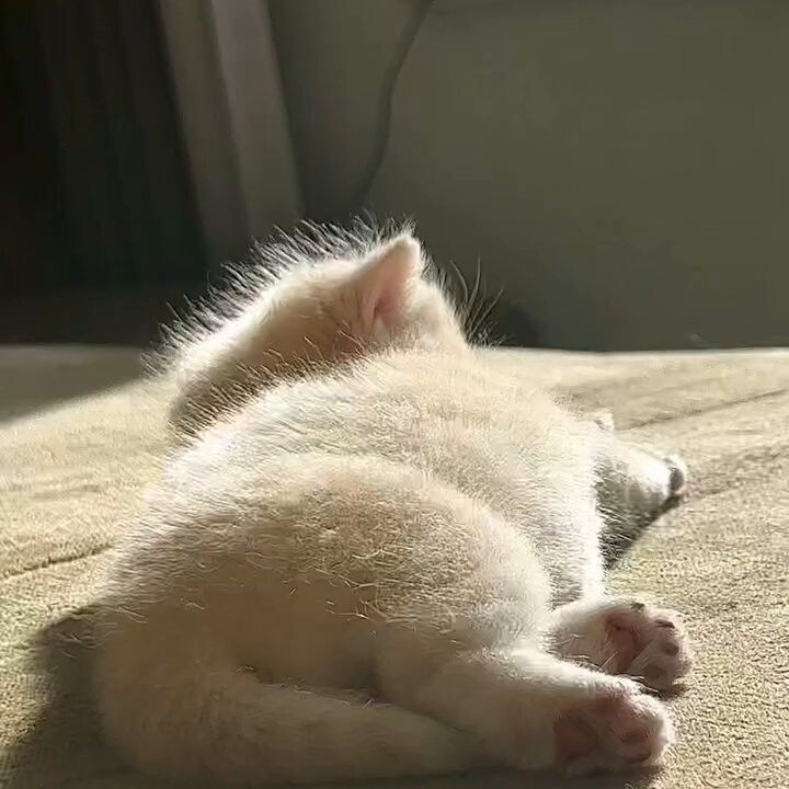 Latest photo of Hanbin (TEMPEST)