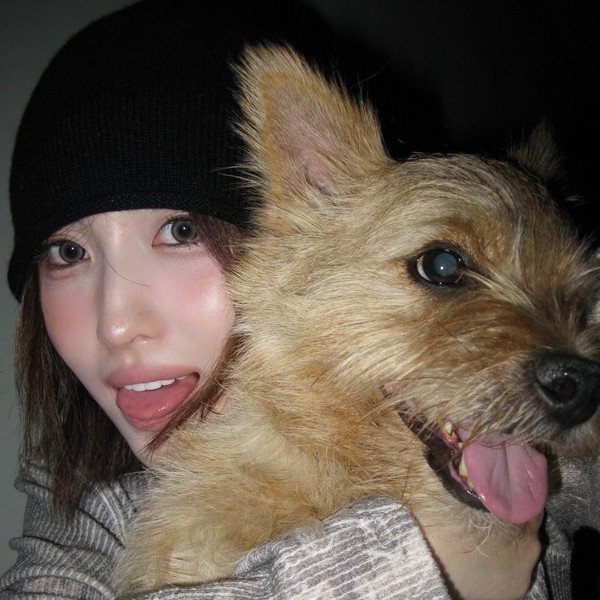 Foto perwakilan Momo (TWICE) yang bersinar hari ini di Choeaedol