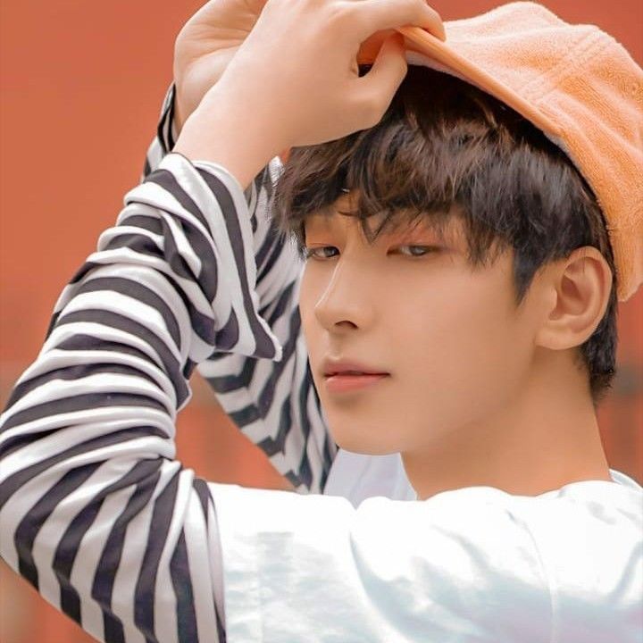 원우 (세븐틴)의 비하인드 컷