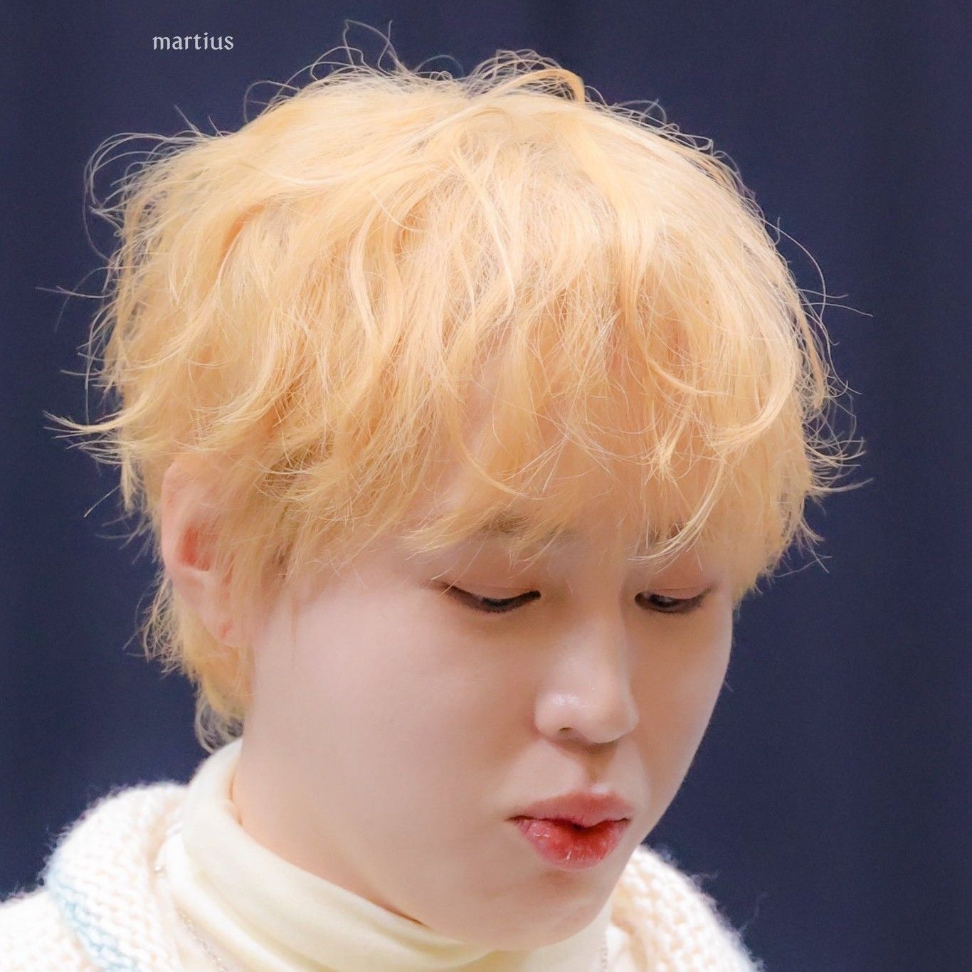 하성운 팬이 찍은 순간