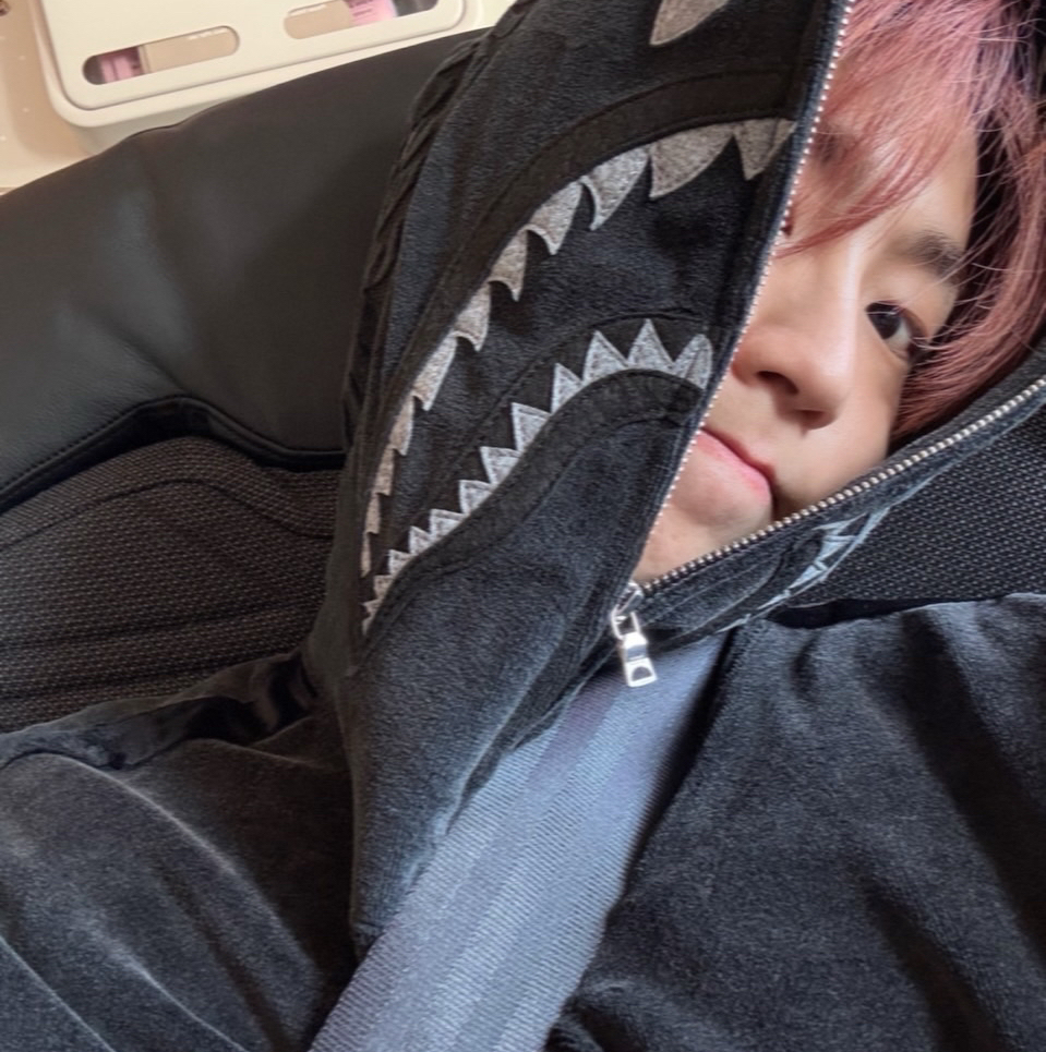 한 (Stray Kids) 팬이 찍은 순간