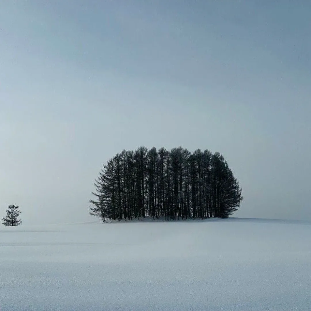 Foto terbaru D.O. (EXO)