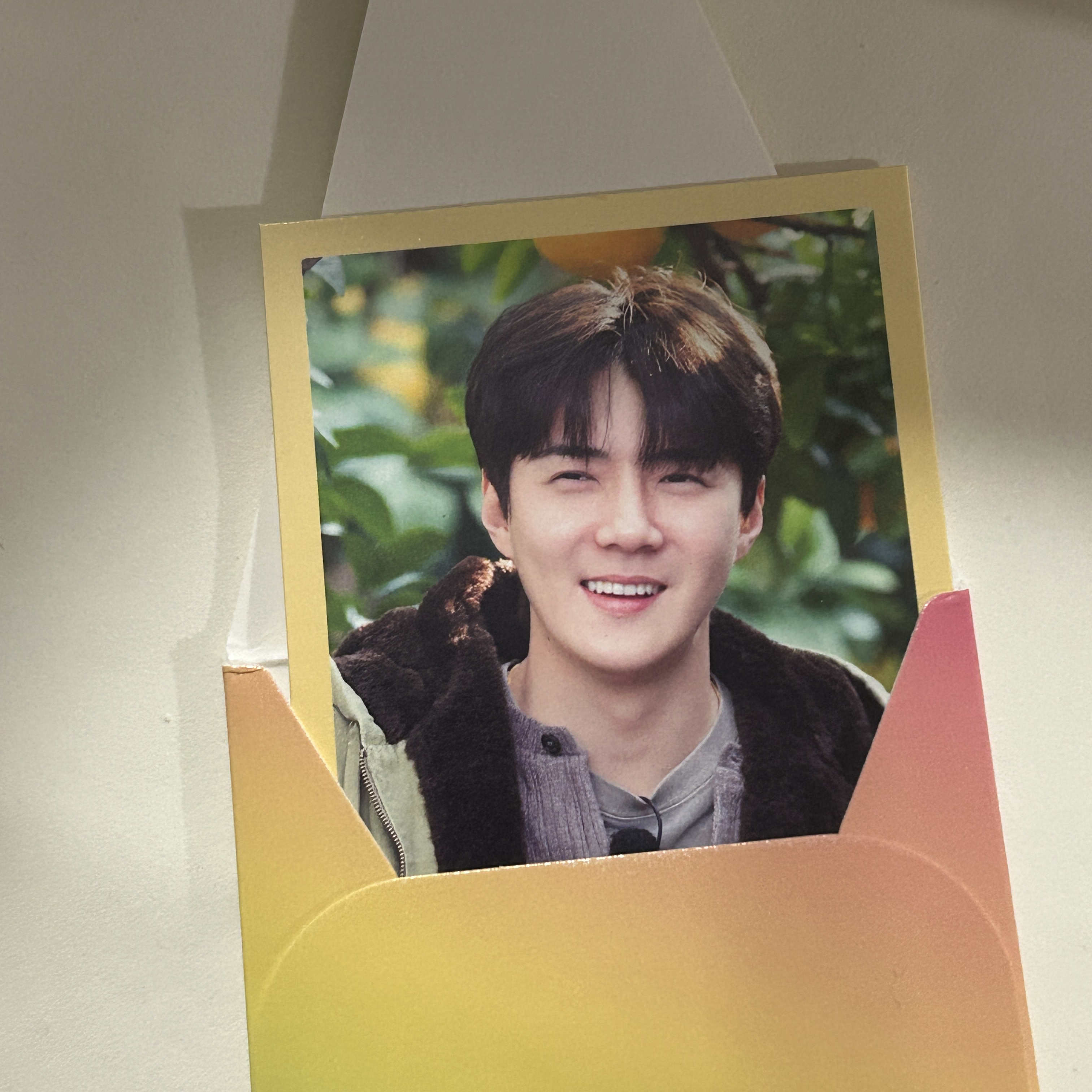 세훈 (EXO) 최근 활동샷