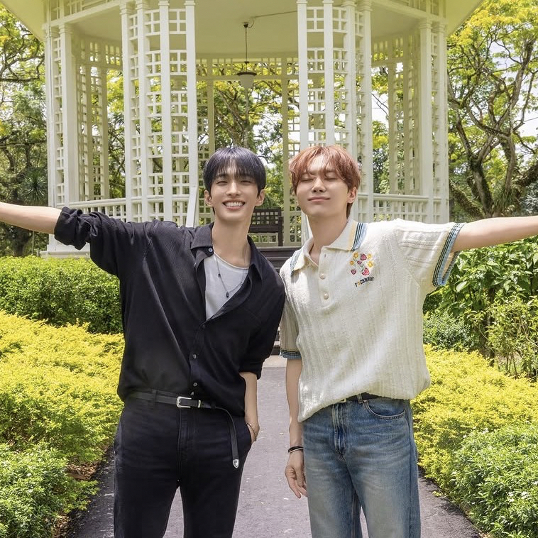 세븐틴 팬이 찍은 순간