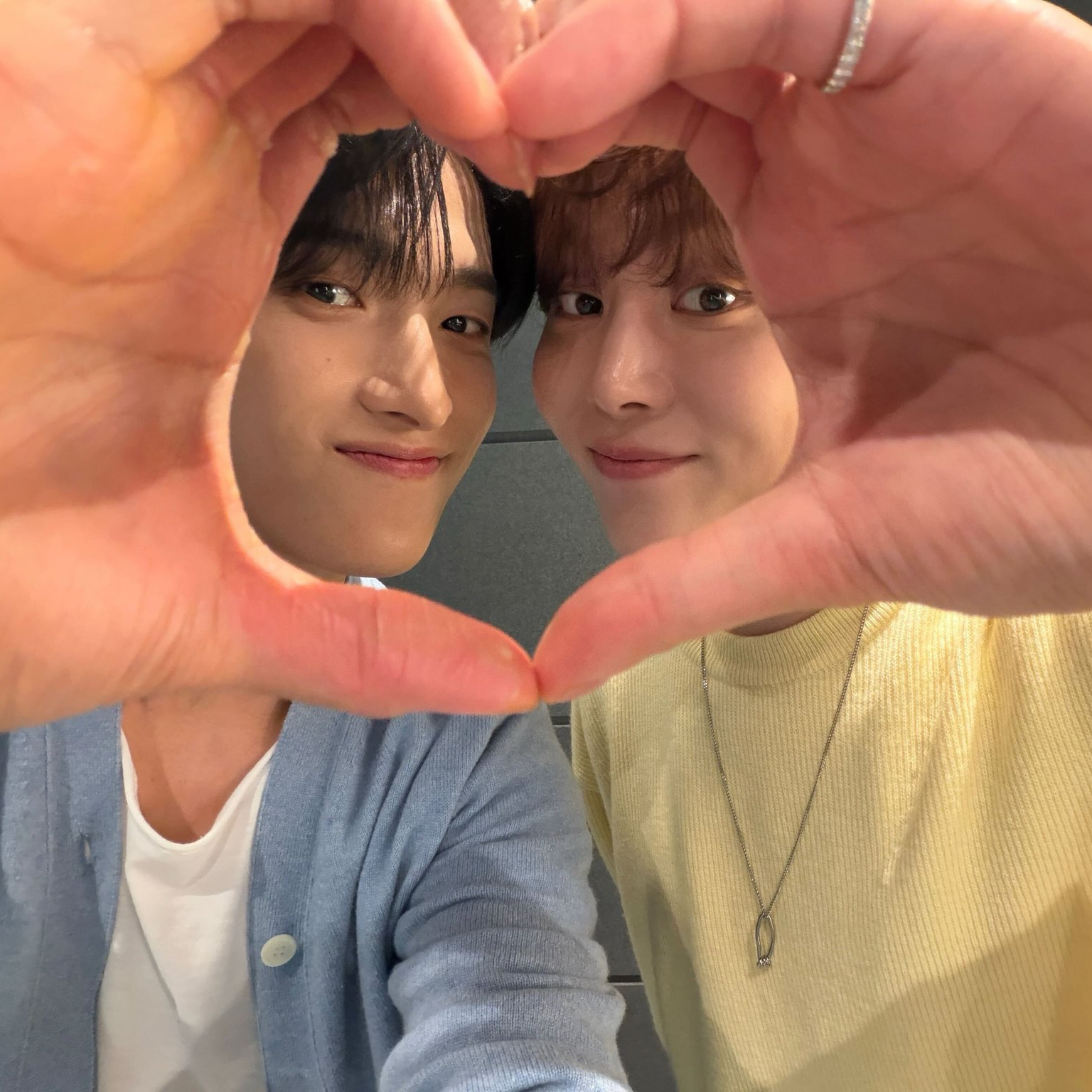 세븐틴 팬이 찍은 순간