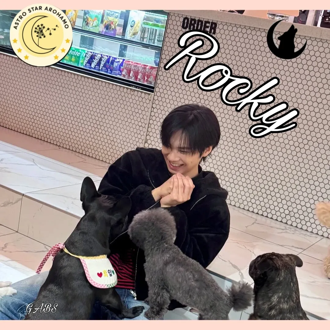 Recent activity shot of Rocky