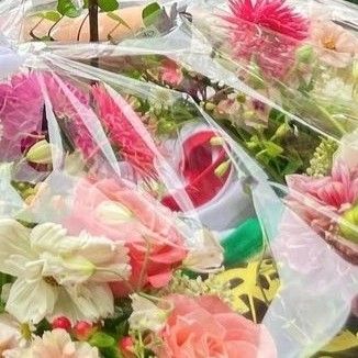 Latest photo of Ian (Hearts2Hearts)