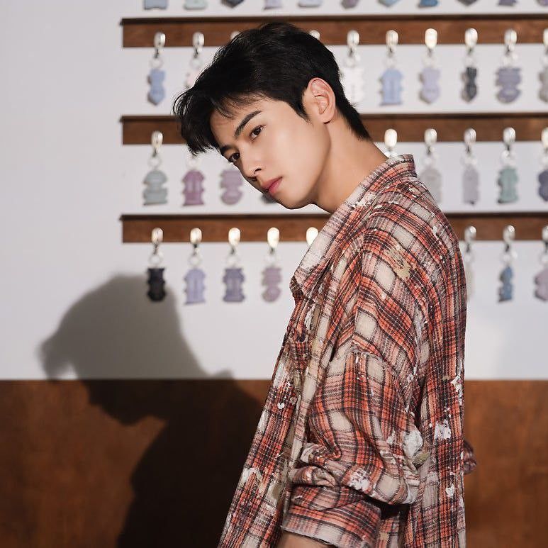 Latest photo of Eunwoo (ASTRO)