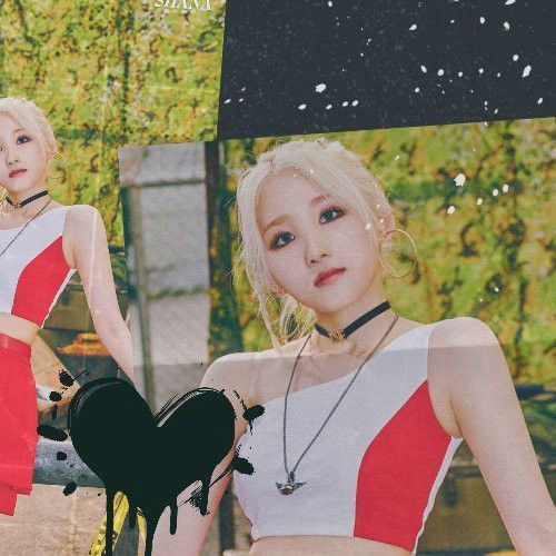 샤나 (라필루스) 최근 활동샷