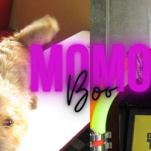 모모 (TWICE)의 비하인드 컷