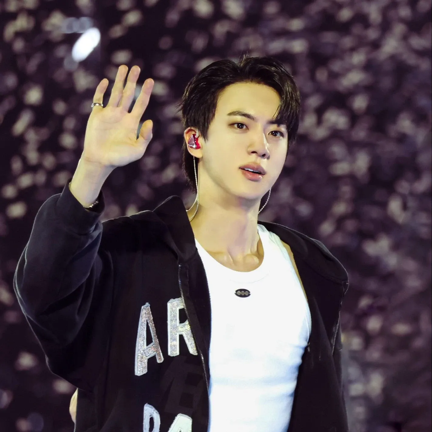 A moment captured by Jin (BTS)'s fan