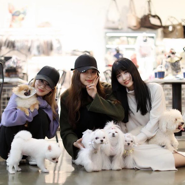 Foto aktivitas terbaru TWICE