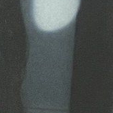 Latest photo of Kim Garam