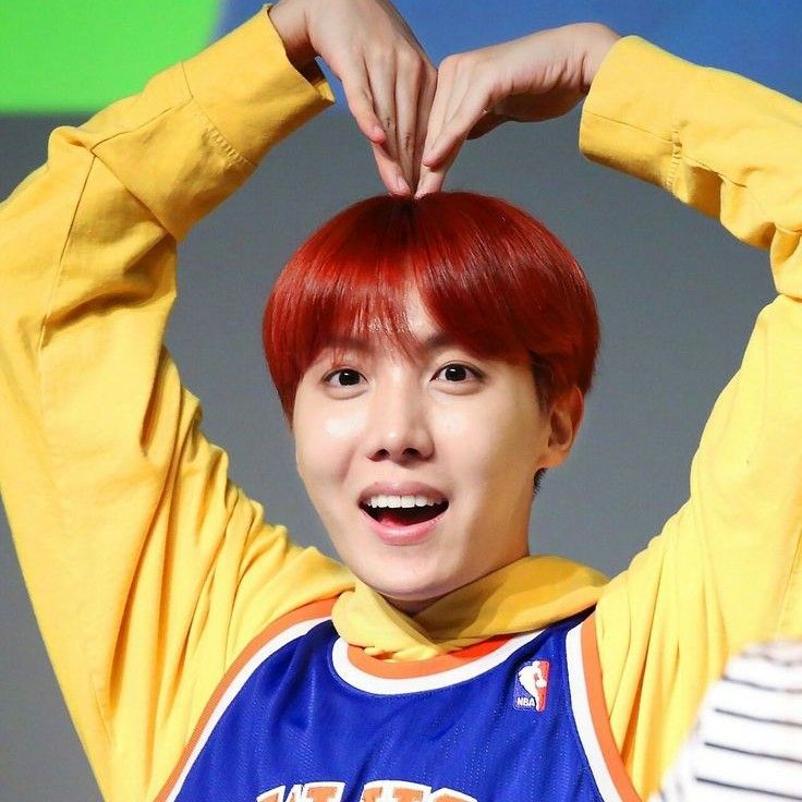 제이홉 (방탄소년단) 팬이 찍은 순간