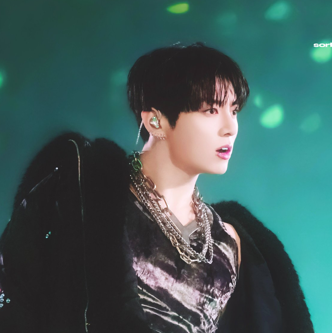 정국 (방탄소년단) 팬이 찍은 순간