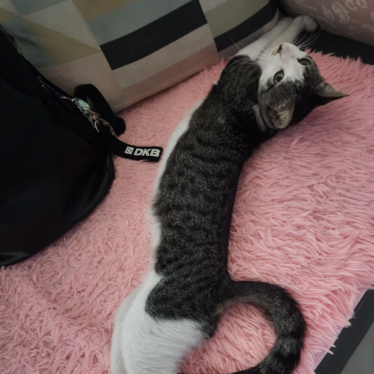 SEVENTEENの舞台裏ショット