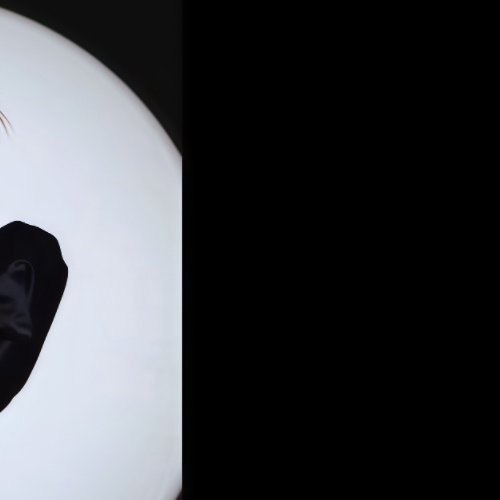 A moment captured by Soyeon (i-dle)'s fan