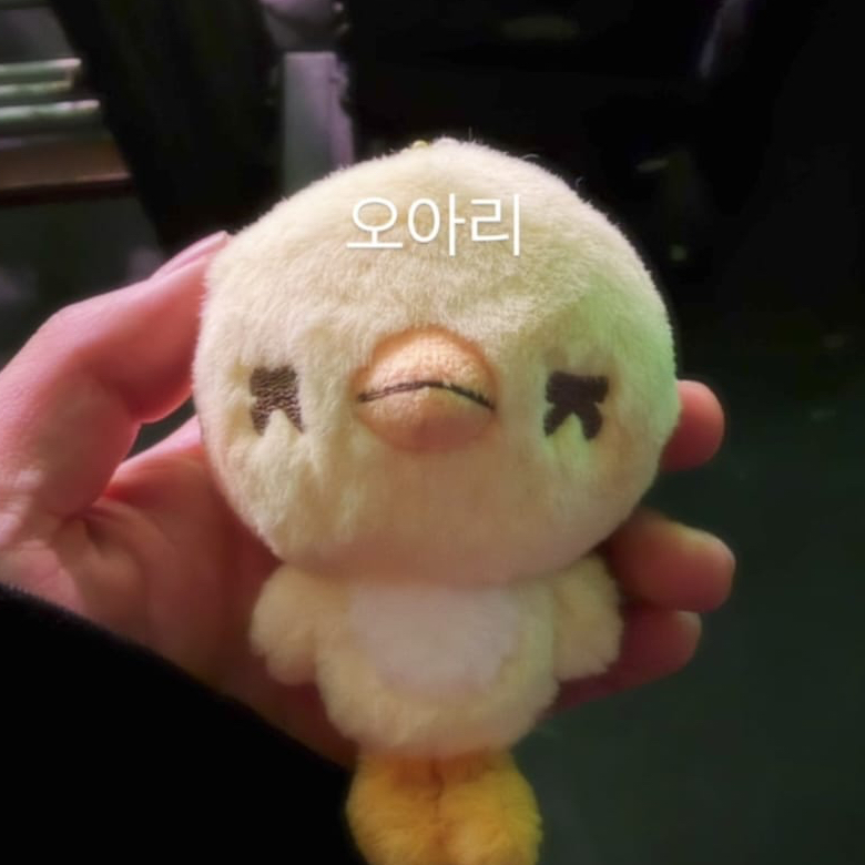 Recent activity shot of EXO