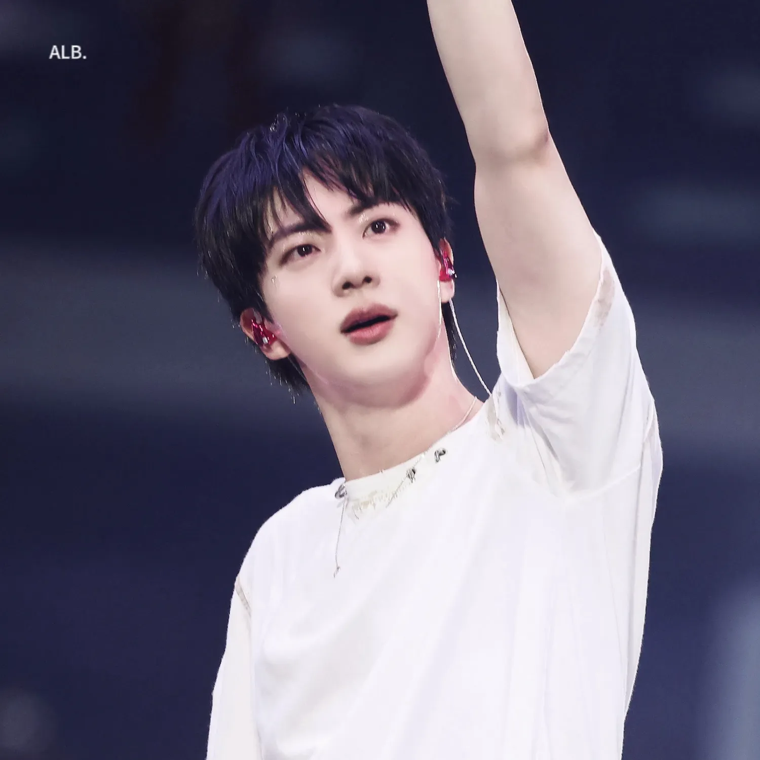 A moment captured by Jin (BTS)'s fan