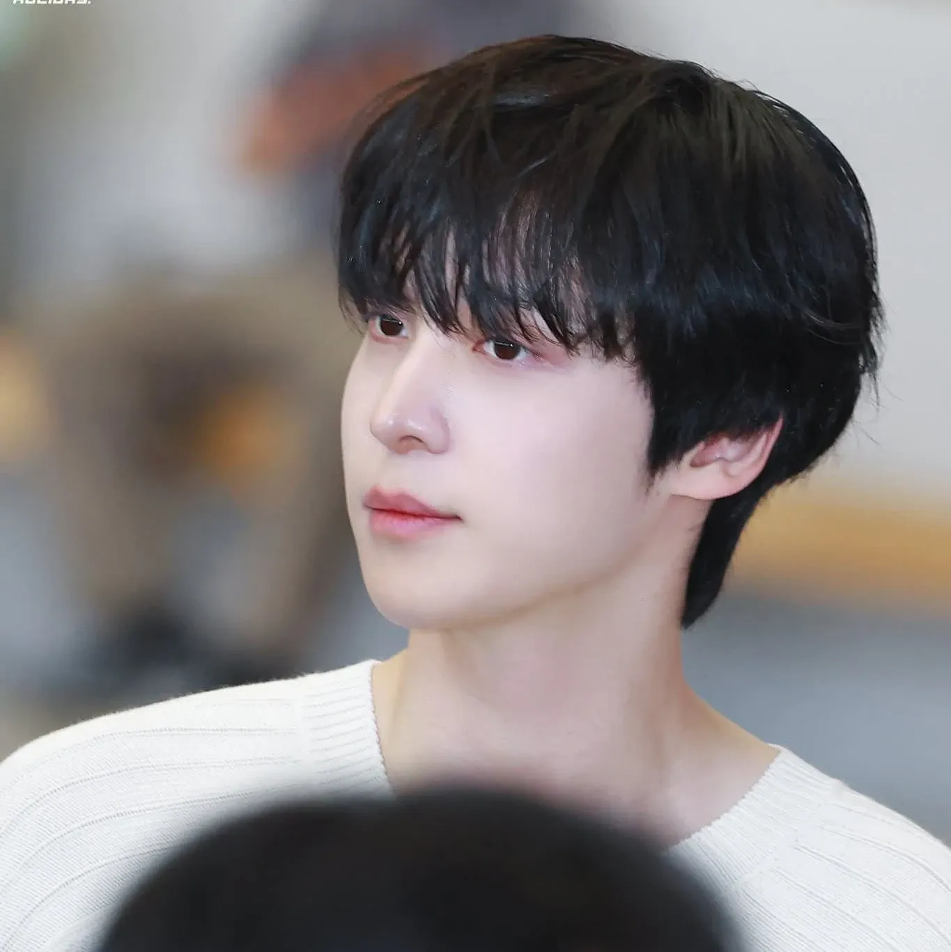 에이티즈 팬이 찍은 순간