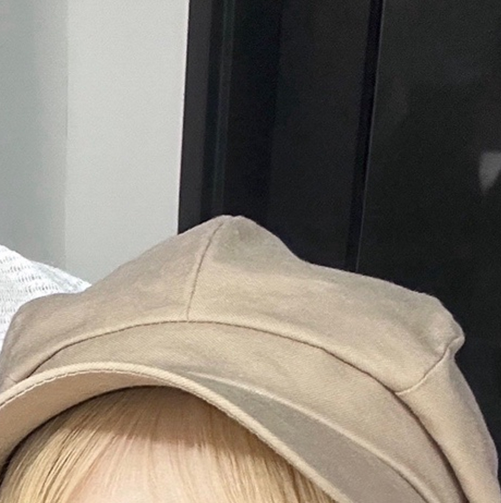 A moment captured by Loossemble's fan