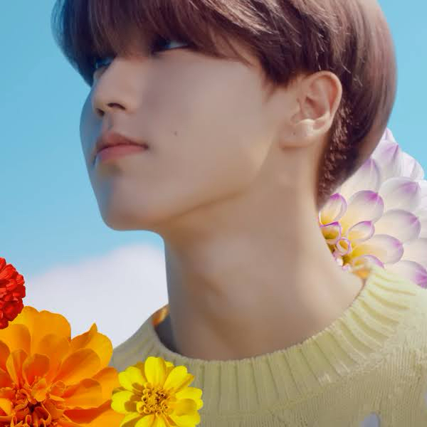 한 (Stray Kids)의 최신 사진