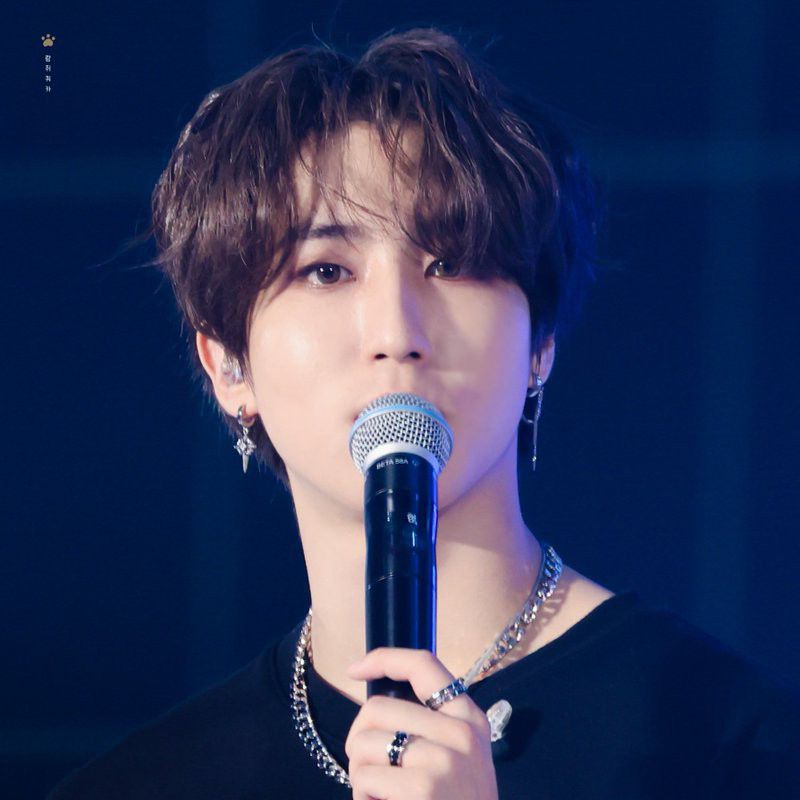 Recent activity shot of HAN (Stray Kids)