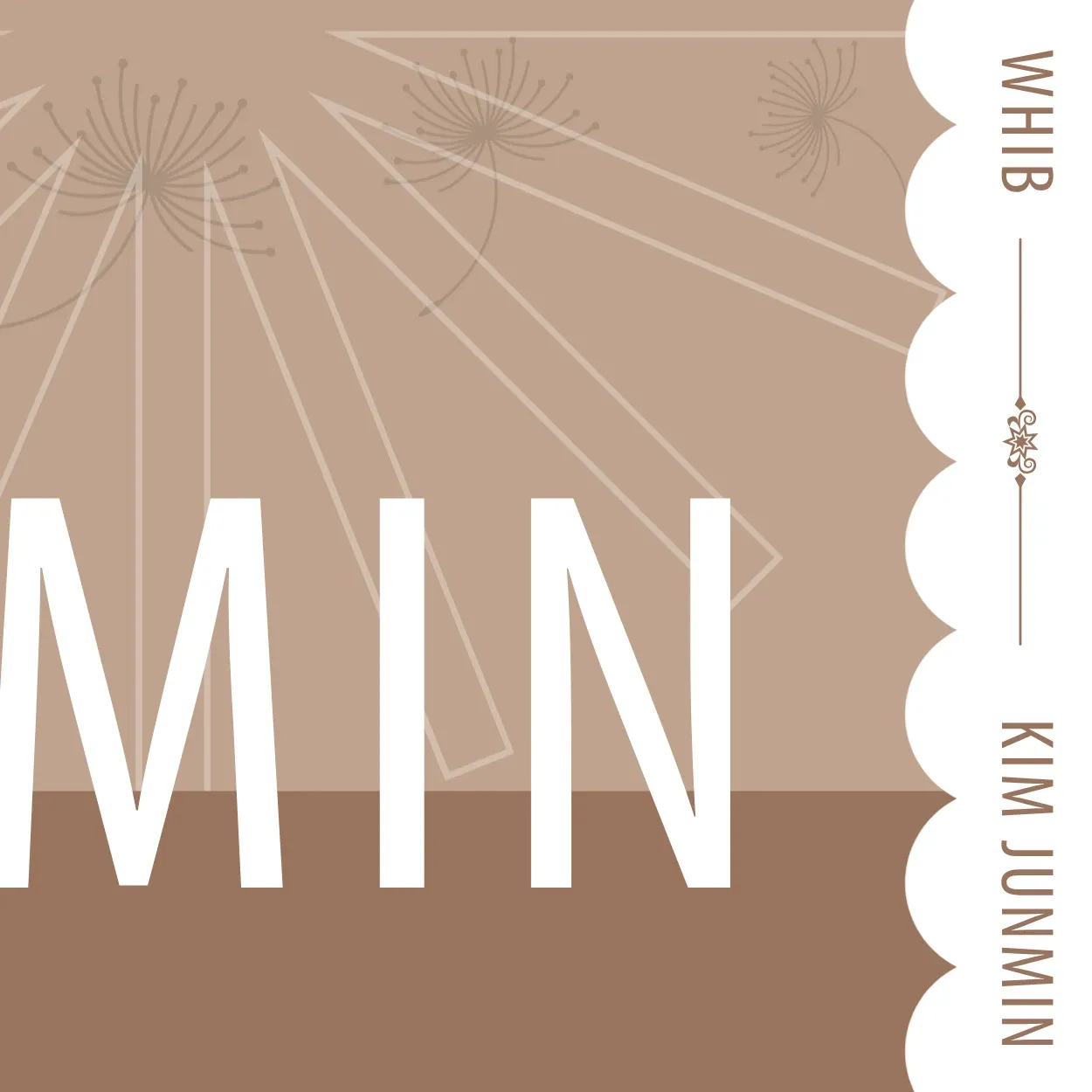 A moment captured by Kim Junmin (WHIB)'s fan