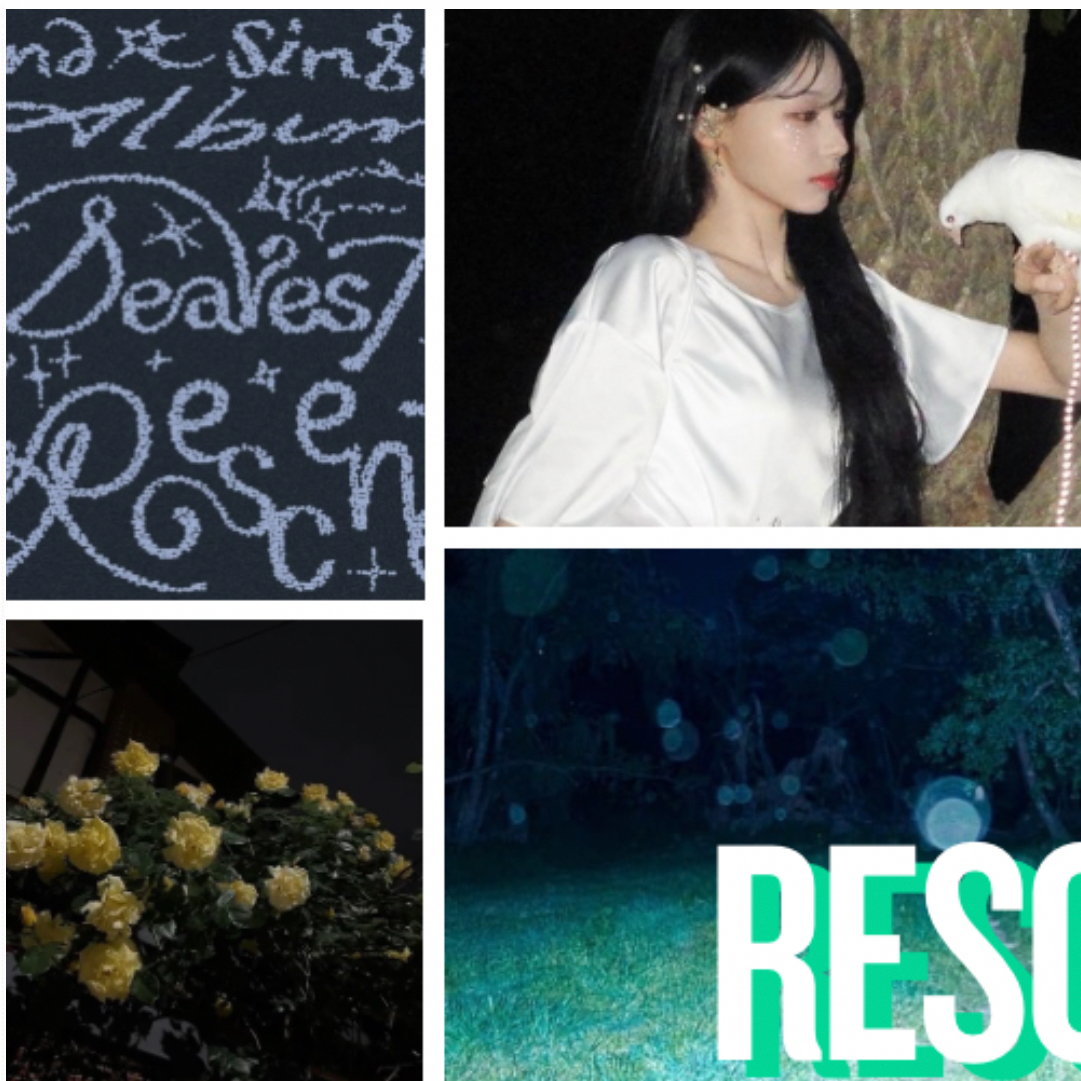 A moment captured by Woni (RESCENE)'s fan