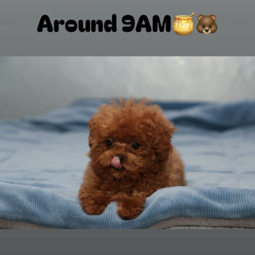 Latest photo of Wow (A.C.E)