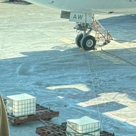 华莎 (MAMAMOO)的最新照片