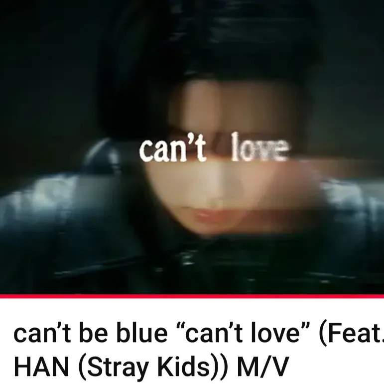 Stray Kids 최근 활동샷