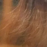 金佳蓝的最新活动照片