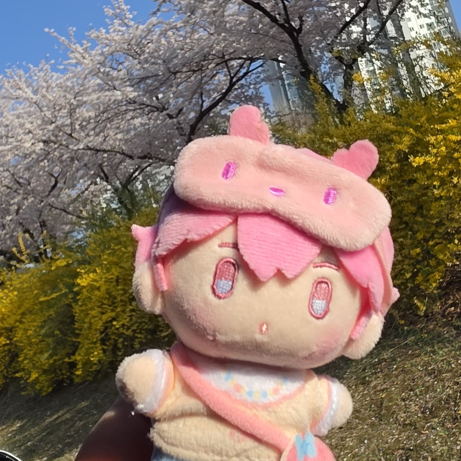 Recent activity shot of Bamby (PLAVE)