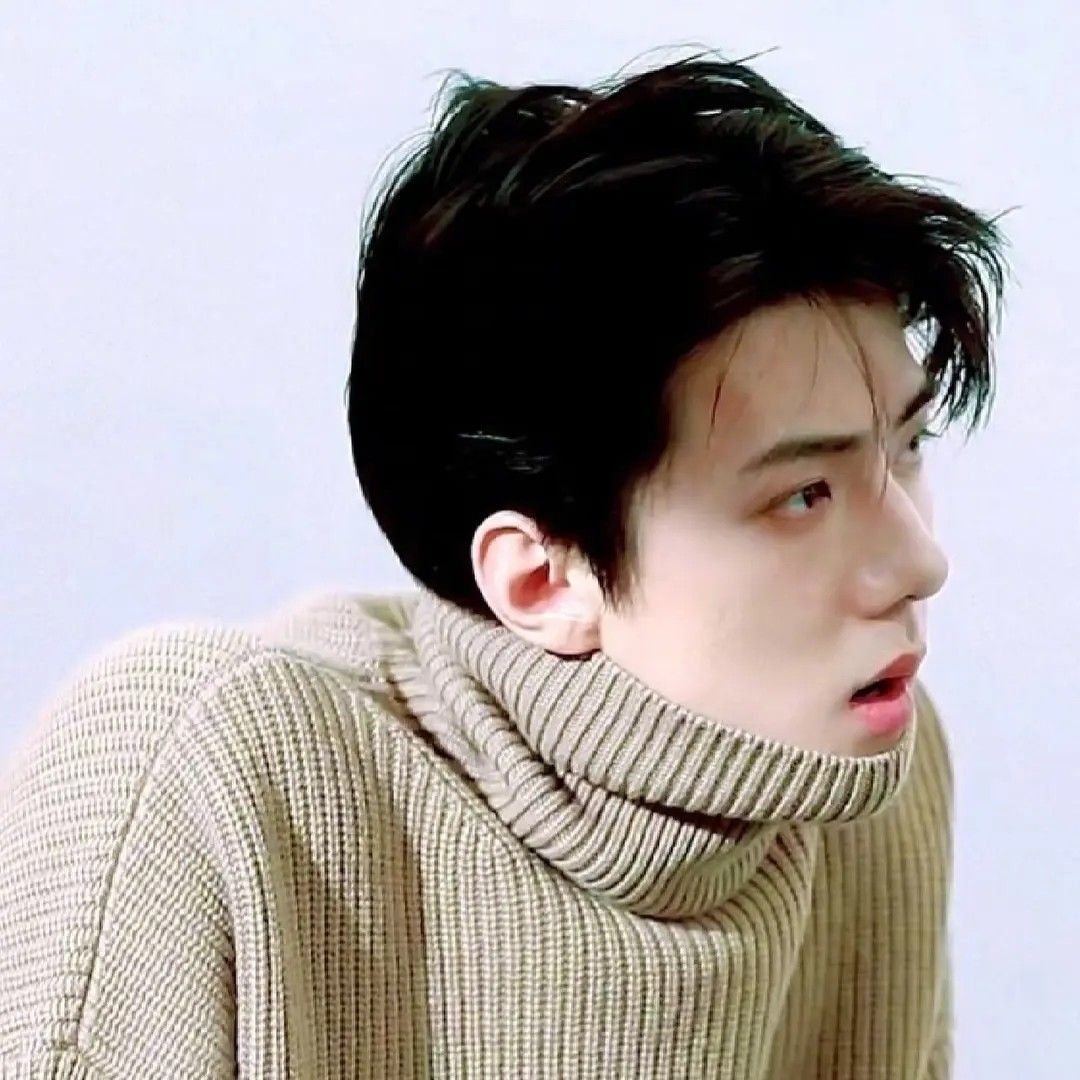 세훈 (EXO) 팬이 찍은 순간