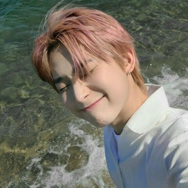 ENHYPEN 팬이 찍은 순간