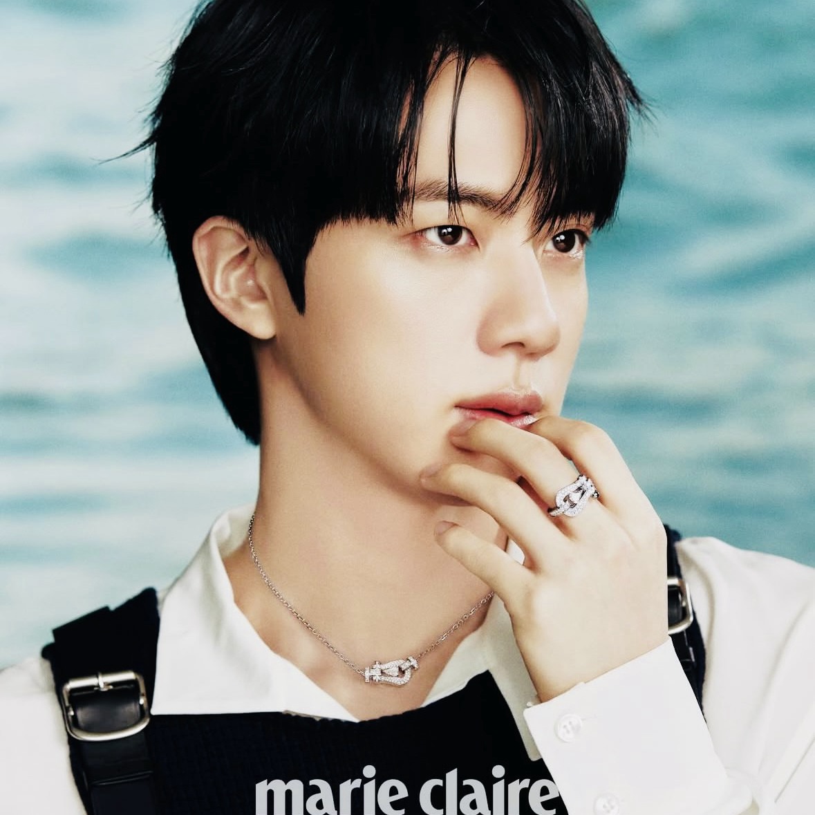 진 (방탄소년단) 팬이 찍은 순간