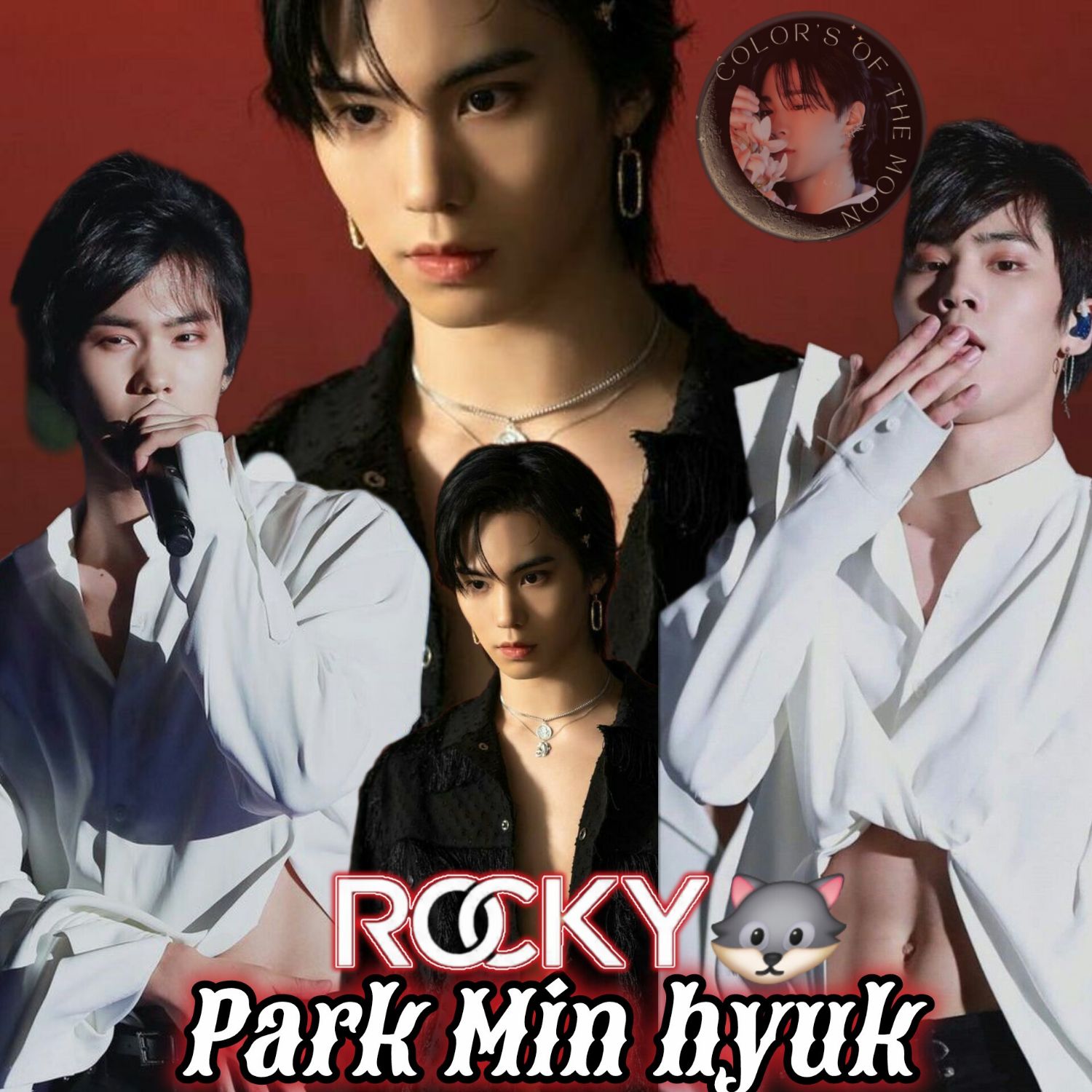 Latest photo of Rocky