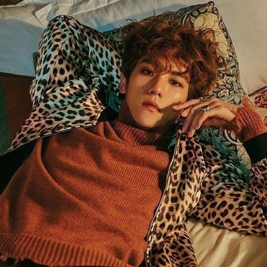 백현 (EXO) 최근 활동샷