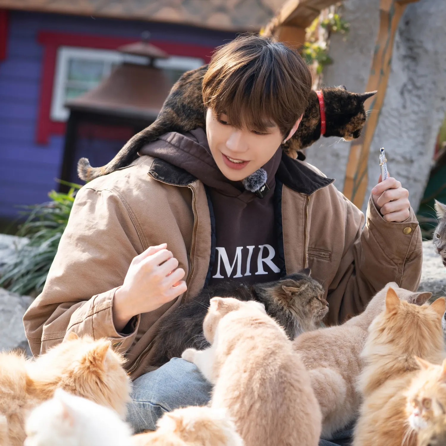 Momen yang diabadikan oleh penggemar Kang Daniel