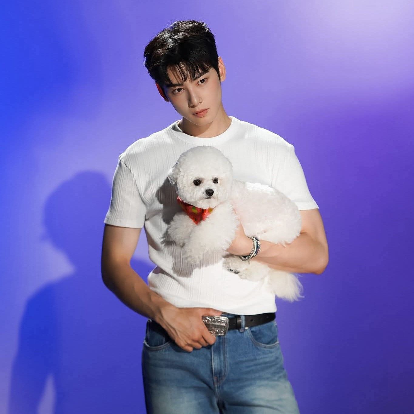 아스트로 팬이 찍은 순간