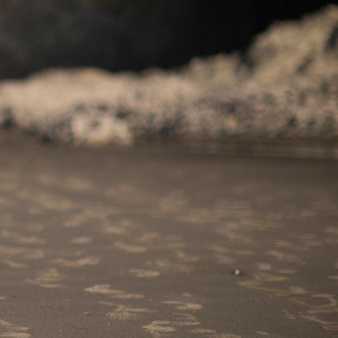 华莎 (MAMAMOO)的最新活动照片