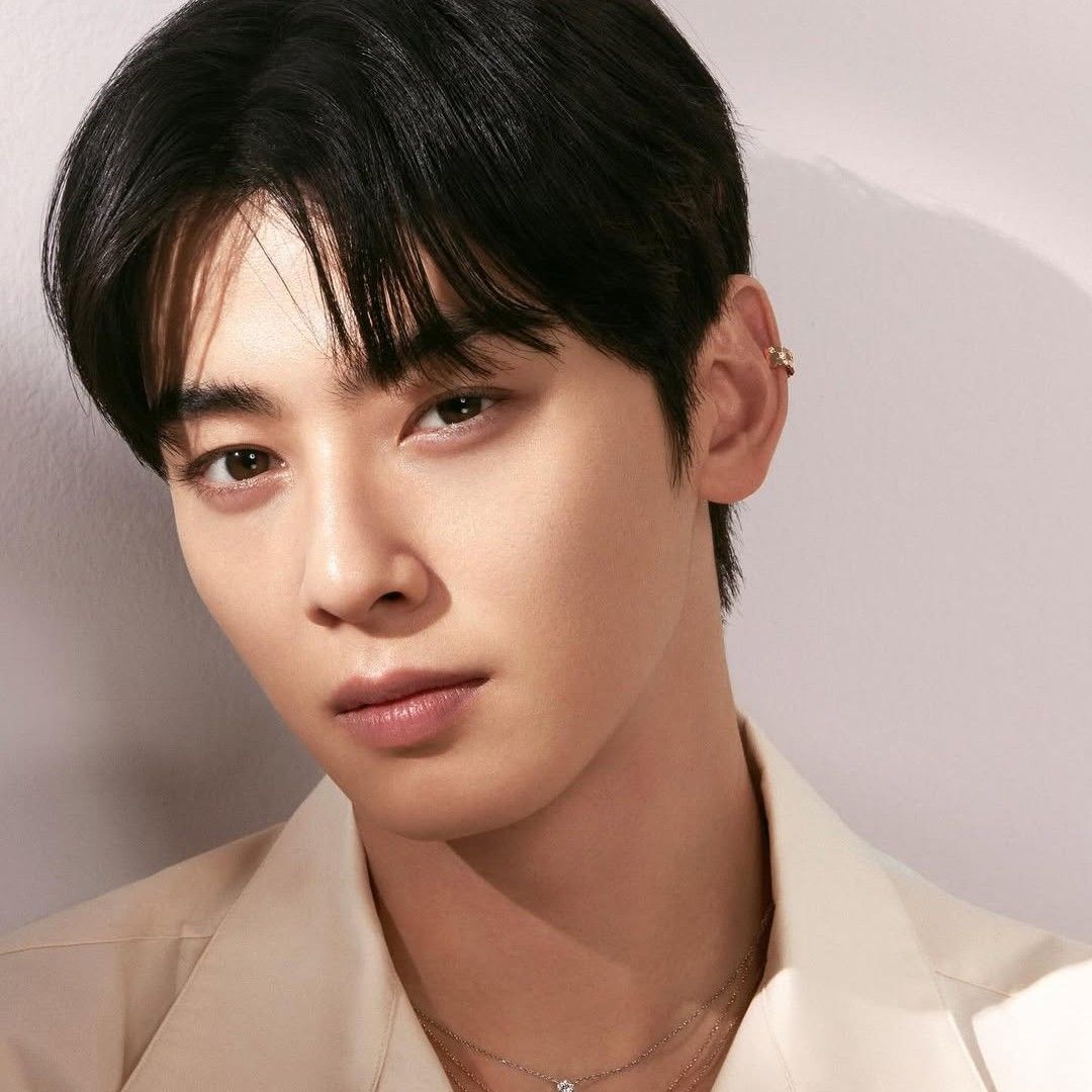 A moment captured by Eunwoo (ASTRO)'s fan