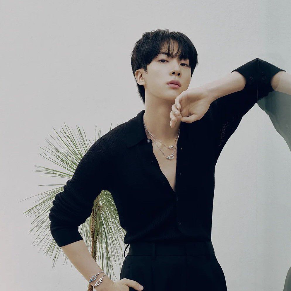 A moment captured by Jin (BTS)'s fan