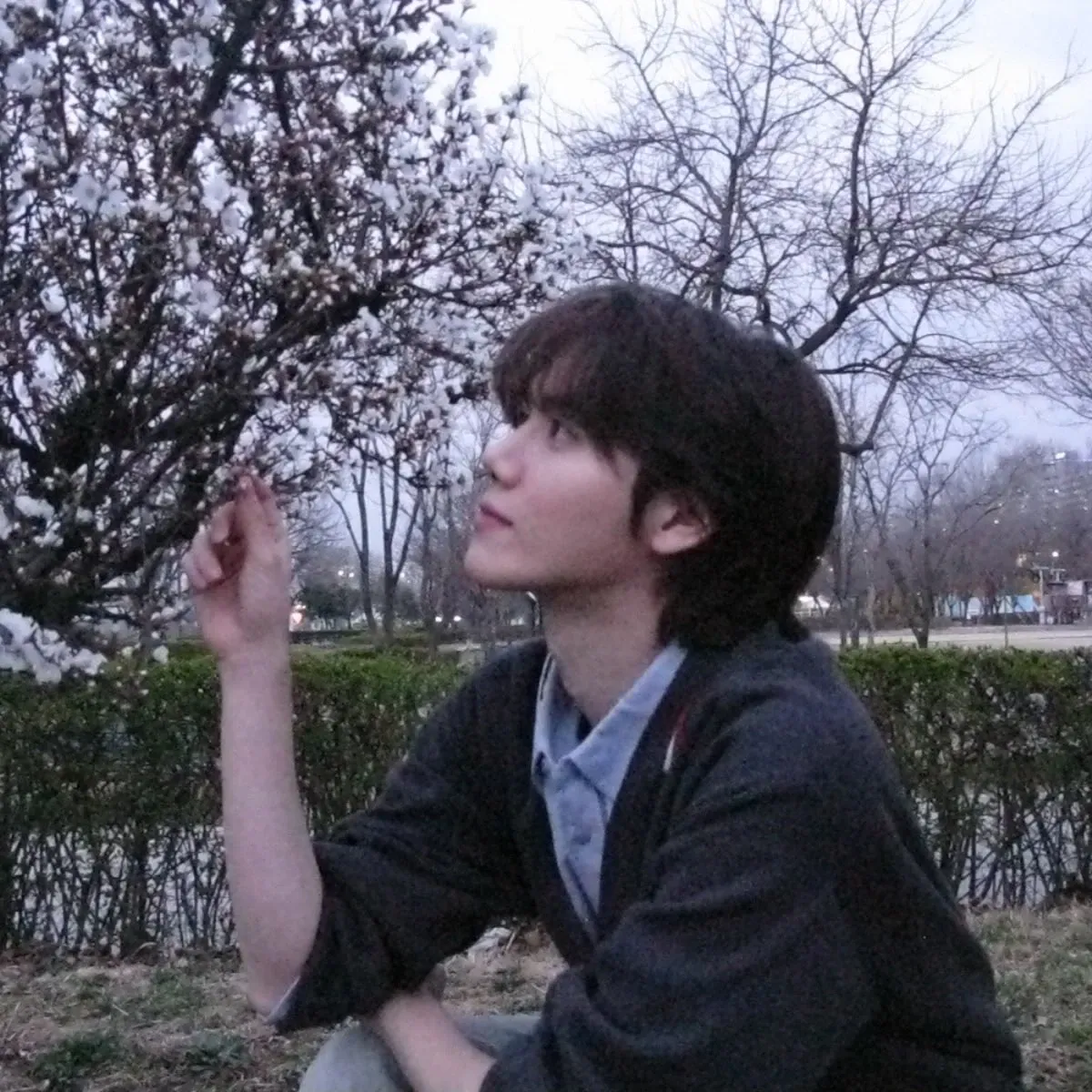 Recent activity shot of Minhee (CRAVITY)