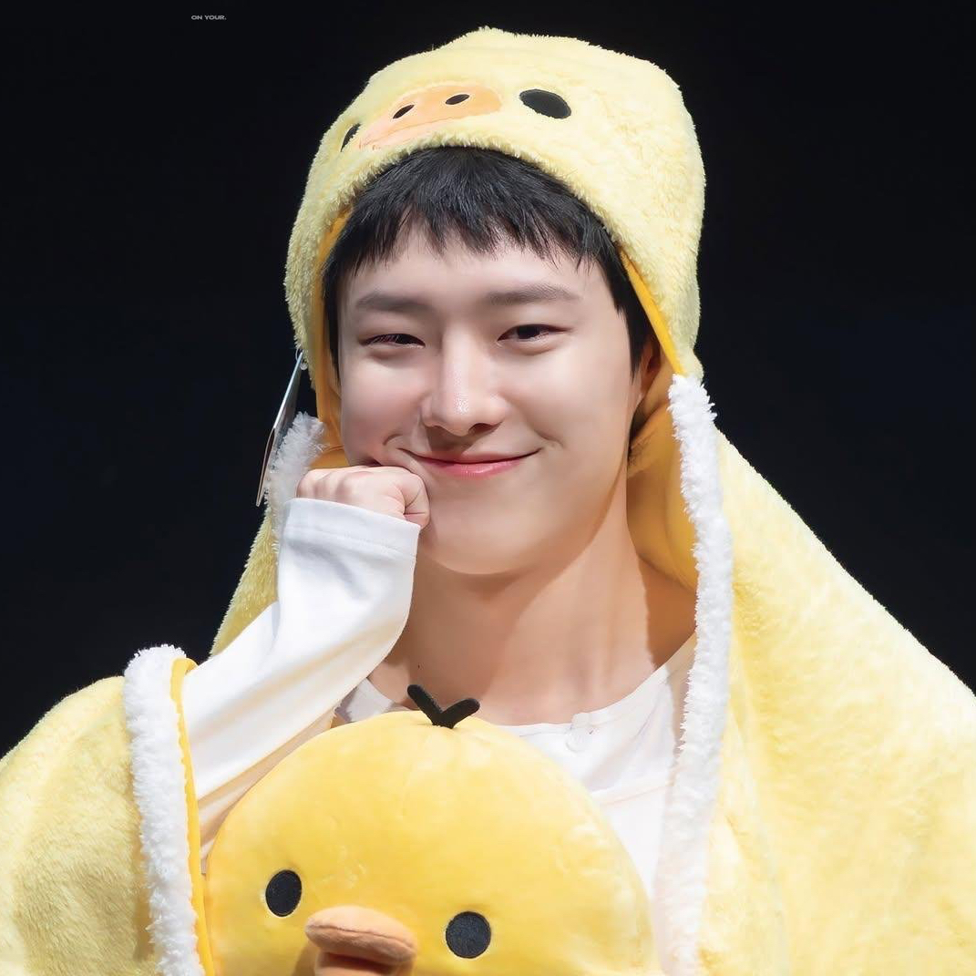 A moment captured by WOODZ's fan