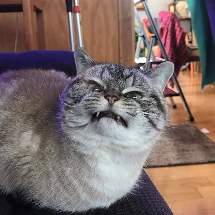 EXO의 비하인드 컷