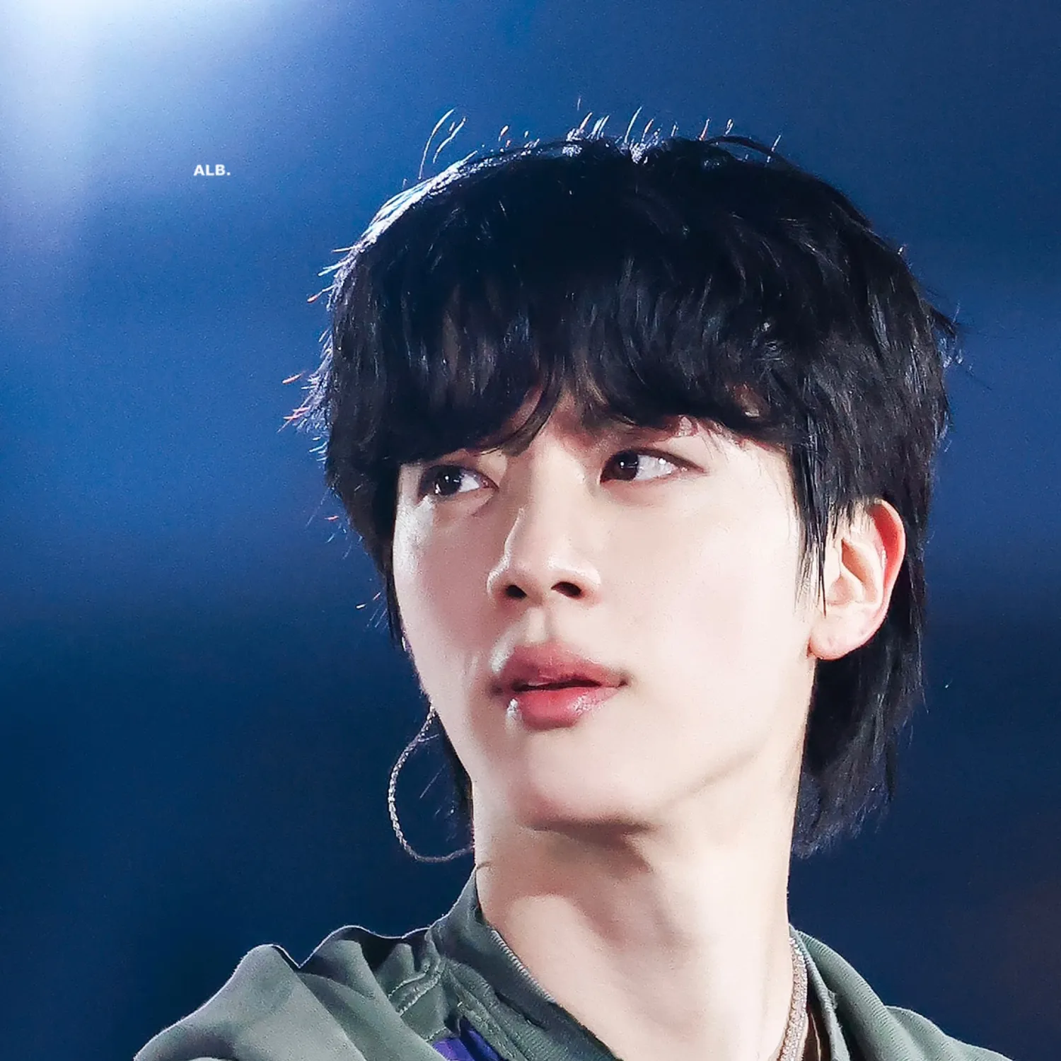 ジン (BTS)ファンが撮った瞬間